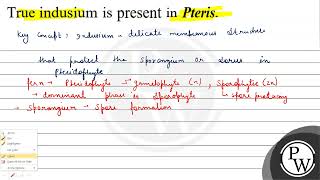 True indusium is present in Pteris [upl. by Mairym]