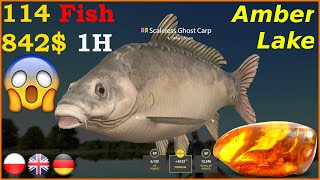 114 Fish 842 Silver 1H Amber Lake  Russian Fishing 4 carpfishing carp [upl. by Harriman444]