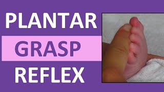 Plantar Grasp Reflex in Infant Newborn  Pediatric Nursing Assessment [upl. by Animsay]