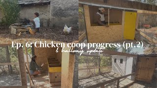 EP6 CHICKEN COOP PROGRESS pt2 amp HALLWAY UPDATE  Bulgarian country house renovation [upl. by Olnek]