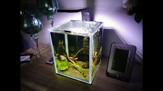 141 Lampka Aquael Leddy Smart 6W Plant czyli zmiana oświetlenia w krewetkarium 10l [upl. by Lathrop]