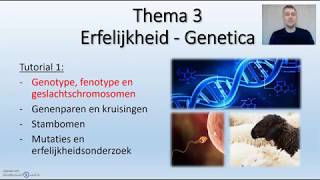 Genotype Fenotype  thema 3 Erfelijkheid Biodam  1 van 4 [upl. by Aihsinat]