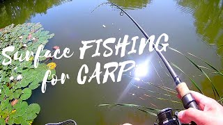 CARP Fishing on the Surface  TOPWATER [upl. by Shaw]