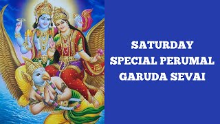 Must Watch Series  Vlog 9  Saturday Special Perumal Garuda Sevai For Wealth Parthasarathy Perumal [upl. by Garlen]