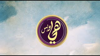 اسأل رضوى لقاء مع صانع المحتوى علاء الشيخ للرد على أسئلة المشاهدين  هي وبس [upl. by Akiwak]