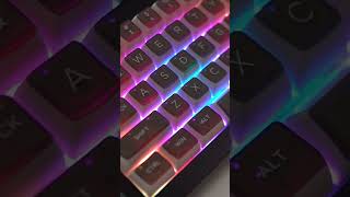 Got this Pudding Keycaps for 1499USD [upl. by Faith262]