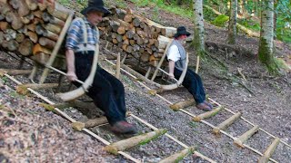 Dangerous but Genius Sliding Technique They Use to Transport Tons of Wood [upl. by Nosoj]