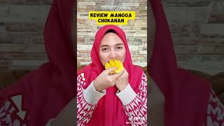 Review mangga Chokanan dari Thailand bibitbuah [upl. by Reynard]