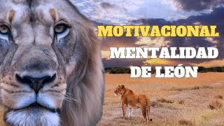 MOTIVACIONAL  MENTALIDAD DE UN LEÓN [upl. by Dikmen]