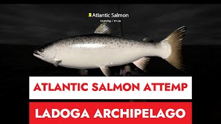 RUSSIAN FISHING 4  LADOGA ARCHIPELAGO  ATLANTIC SALMON ATTEMP [upl. by Rani69]