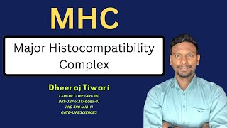 MHC Major Histocompatibility Complex  Immunology [upl. by Emlynn]