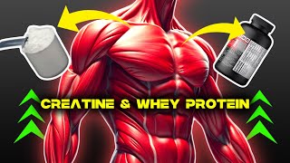 Creatine vs Whey Protein Ultimate Guide for Faster Muscle Gains amp Recovery [upl. by Cavit]