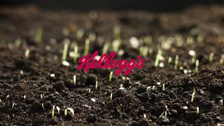 Kellogg’s celebrates World Soil Day with the Cool Soil Initiative [upl. by Averil]