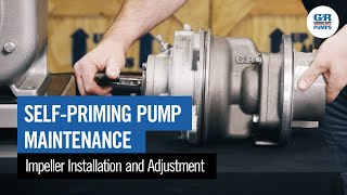 SelfPriming Pump Maintenance  Impeller Installation amp Adjustment [upl. by Kenn]