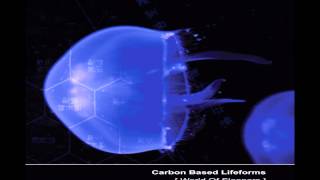 Carbon Based Lifeforms  World Of Sleepers Full Album [upl. by Harts]