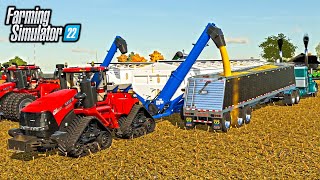 HARVESTING CORN WITH MOTHERBINS HOLDS 8000 BUSHELS  BIG TIME FARMING [upl. by Holly-Anne961]