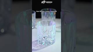 Nachtmann Noblesse 98857 Single Old Fashioned Tumbler  Món quà tinh tế cho người yêu thích rượu [upl. by Hgielak442]