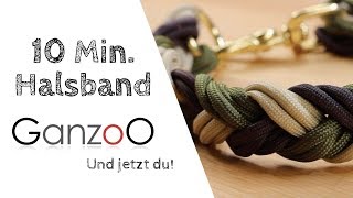 Knüpfanleitung 10 Minuten Halsband  Paracord Halsband Hund [upl. by Aniaz]