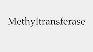 How to Pronounce Methyltransferase [upl. by Ynalem]