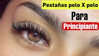 Extensiones de pestañas pelo a pelo Tutorial paso a paso para principiante [upl. by Ontina]