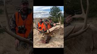 GIANT BULL ELK hunting [upl. by Layne905]