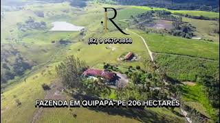 Fazenda em QUIPAPÁPE [upl. by Ycnaf370]