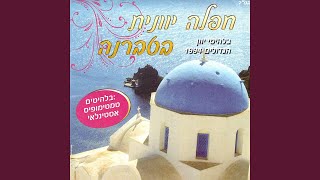 טמטימופיס [upl. by Heimlich]