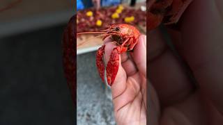 Crawfish Boil [upl. by Rosabel]