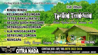 TARLING TENGDUNG CIREBONAN TERLARIS COVER CITRA NADA [upl. by Eillime897]