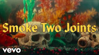 Sublime  Smoke Two Joints Official Music Video [upl. by Hinch]