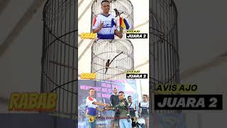 KONIN RABAB JUARA 2 ‼️kicaumania koninijoan kicaumanianusantara muraibatu burung muraibatu [upl. by Aicram]