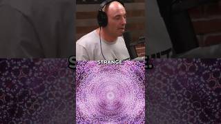 Joe Rogan shares his DMT Experience shorts [upl. by Valerian995]