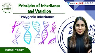 Polygenic Inheritance  Principles of Inheritance amp Variation  L7  NEET 202223  Komal Yadav [upl. by Mikahs]