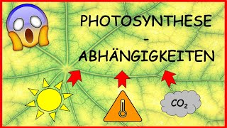 Photosynthese  Abhängigkeit von Außenfaktoren Lichtqualität Lichtstärke CO2 Temperatur [upl. by Adnirolc290]