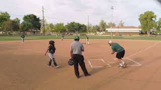 pony league lqysa 10u bees vs swamp donkeys 2024 [upl. by Lizabeth]