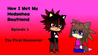 How I Met My Hedgehog Boyfriend  Episode 1 The First Encounter [upl. by Kcirddes]