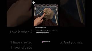 When Allah says 🥺🫀 allah youtubeshorts created everything love [upl. by Melania]