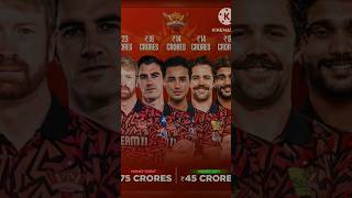 New SRH 🦁 Old SRH 🥶 housemusic 80smusic song cricket remix music cricketleague [upl. by Lindley]