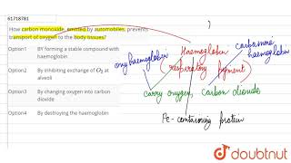 How carbon monside emitted by automobiles precents transport of oxygen to the body tissues [upl. by Eward]