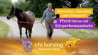 Die Basis für alle Pferde  Bernd Hackl erklärt 🐴 [upl. by Mcintyre]