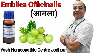 आँवला ।Emblica officianalis  Indian gooseberry  आमलाकी । के फ़ायदे [upl. by Kellie]