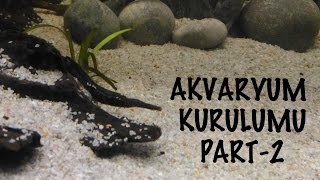 Bakteri Kültürü ve Dekor Biyotop Akvaryum Kurulumu Part2 [upl. by Idalina23]