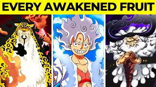 All Awakened Devil Fruit Users Explained Joyboy Blackbeard… [upl. by Libove]