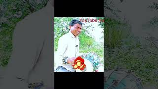 Loafer Loafer Jim Karen Lal Vahi Jhabua Balam Bhole chatting Kauwa YouTube short YouTube funny [upl. by Hgielah]