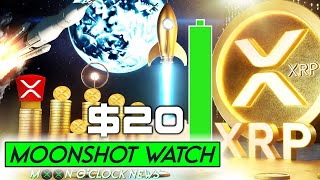 🔴 XRP LIVE MOONSHOT PRICE WATCH 🔴 🚀🌓 XRPMUSIC [upl. by Alracal]