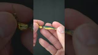 Micro Luck E Strike Scrounger Jig Overview  Fishing Lure shorts [upl. by Four]