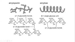 Chemistry of Sugars II [upl. by Saalocin]