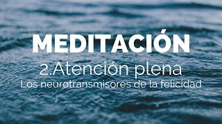 Meditación ATENCIÓN PLENA😃 Los NEUROTRANSMISORES de la FELICIDAD [upl. by Mallorie424]