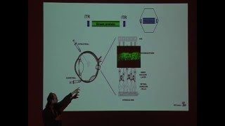 Applicazione della terapia genica nella retinite pigmentosa  Dott Enrico Maria Surace [upl. by Hanser]