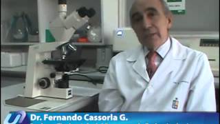 Entrevista Dr Fernando Cassorla 5 de 7  Triptorelina y pubertad precoz [upl. by Ricca]